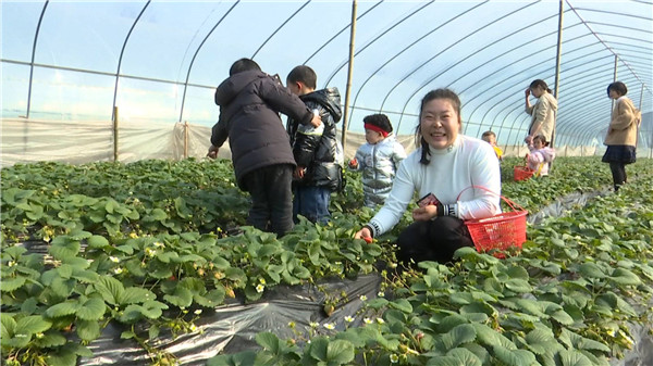 走，去邂逅冬日里的第一抹甜蜜
