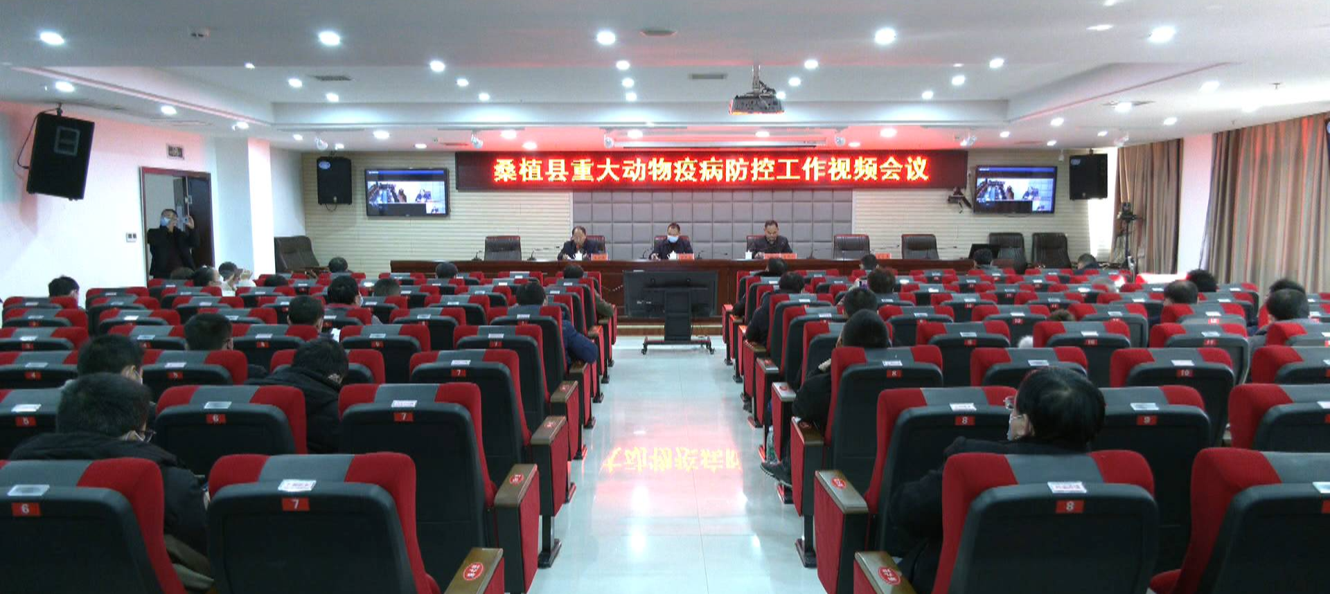 重大动物疫病防控：桑植县开展为期三个月专项整治行动