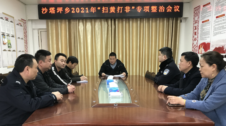 沙塔坪乡开展文化市场专项整治行动