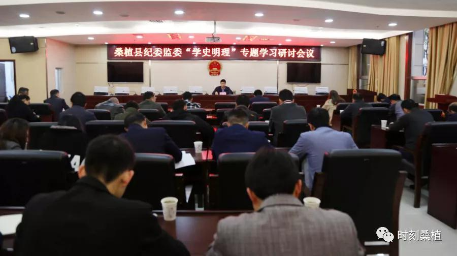 奋斗百年路 启航新征程丨桑植县纪委监委召开党史学习教育动员会暨“学史明理”专题研讨会议
