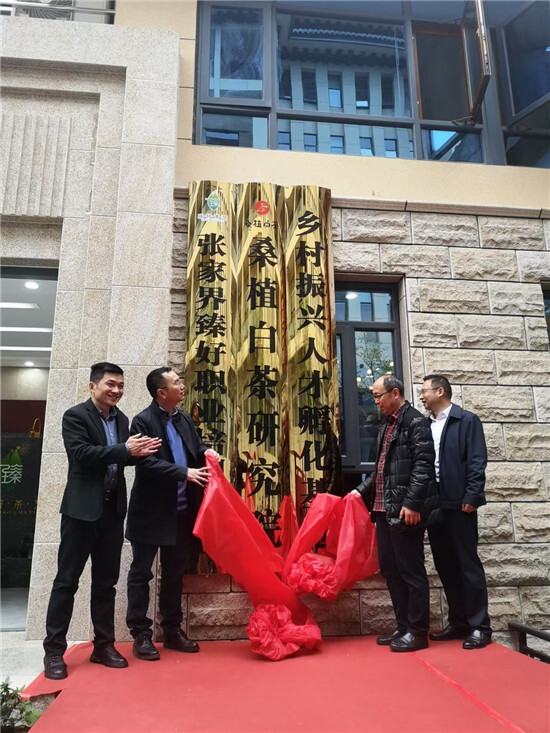 “桑植白茶研究院”暨“乡村振兴人才孵化基地”揭牌成立