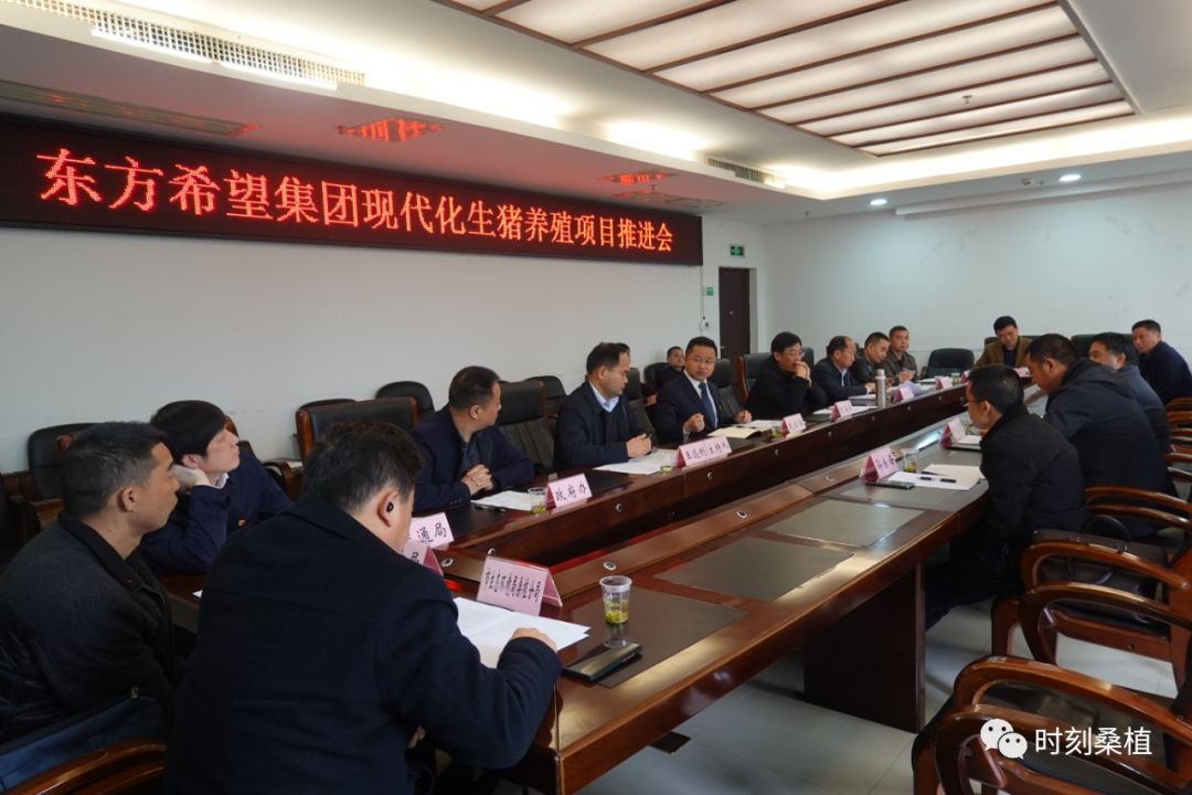 东方希望集团现代化生猪养殖项目推进会召开