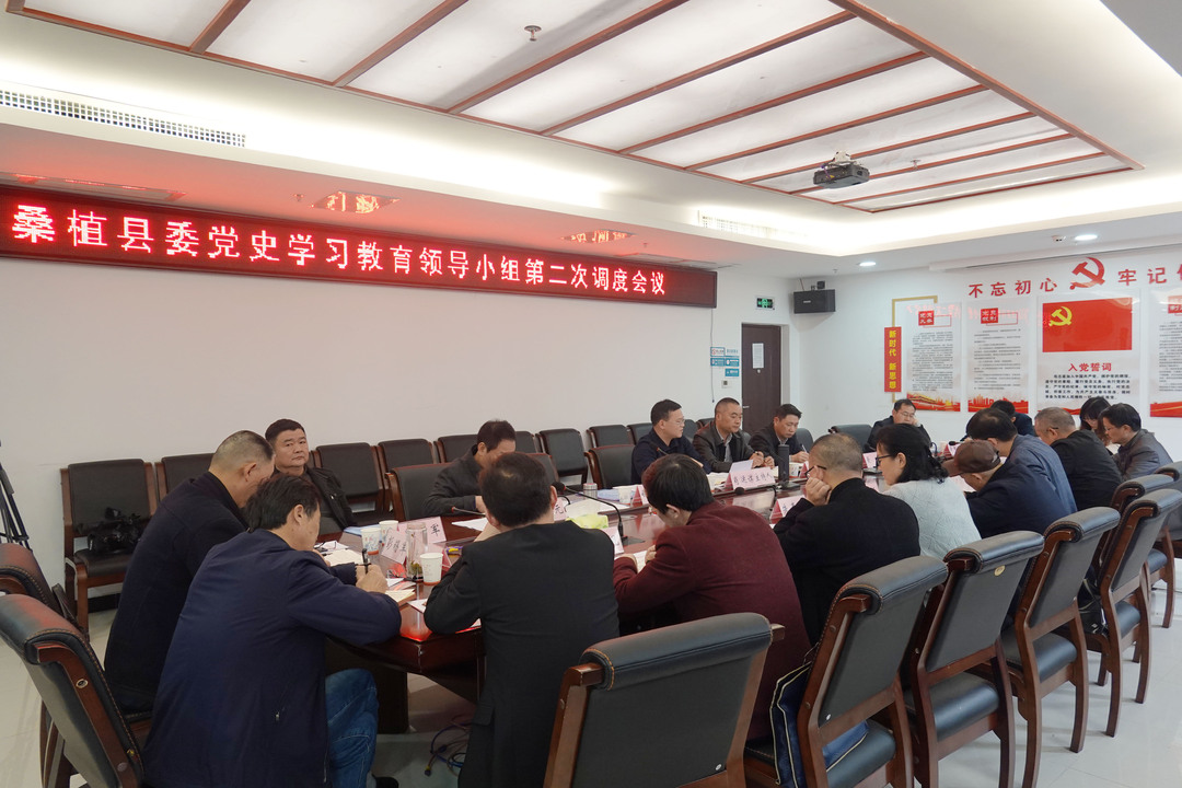 【奋斗百年路 启航新征程】 桑植县委党史学习教育领导小组召开第二次调度会