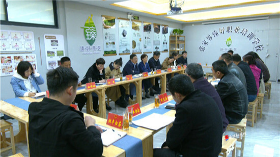向锦云来桑植县调研桑植白茶品牌建设
