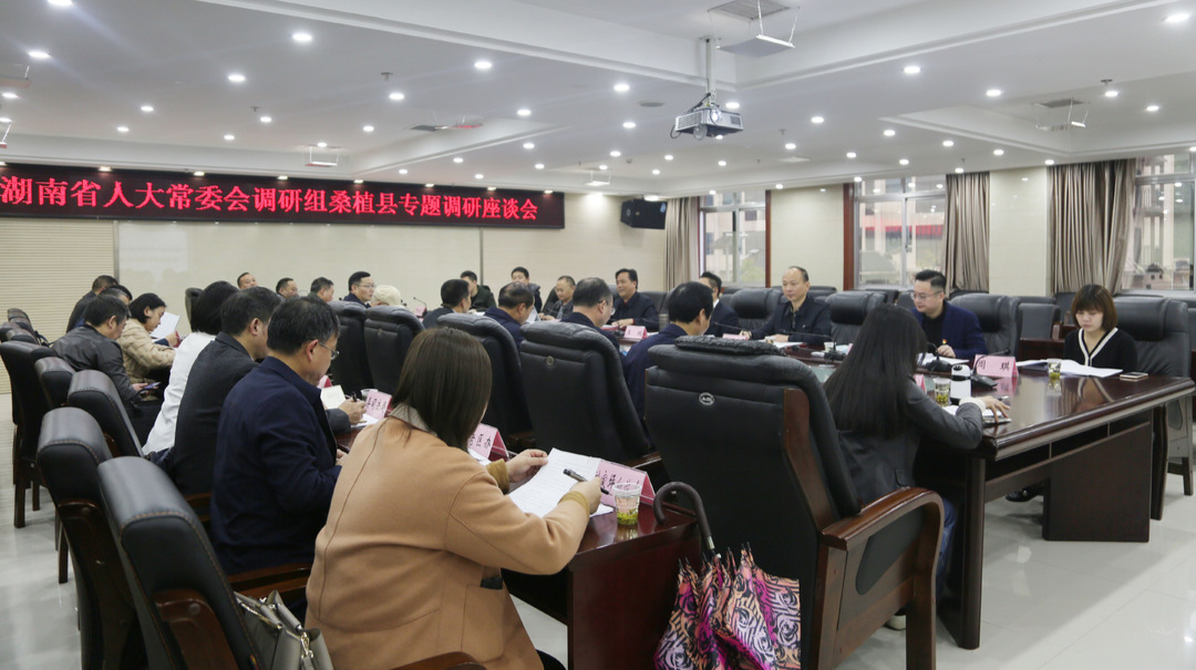 省人大常委会调研组来桑专题调研历史文化和红色资源保护与利用情况