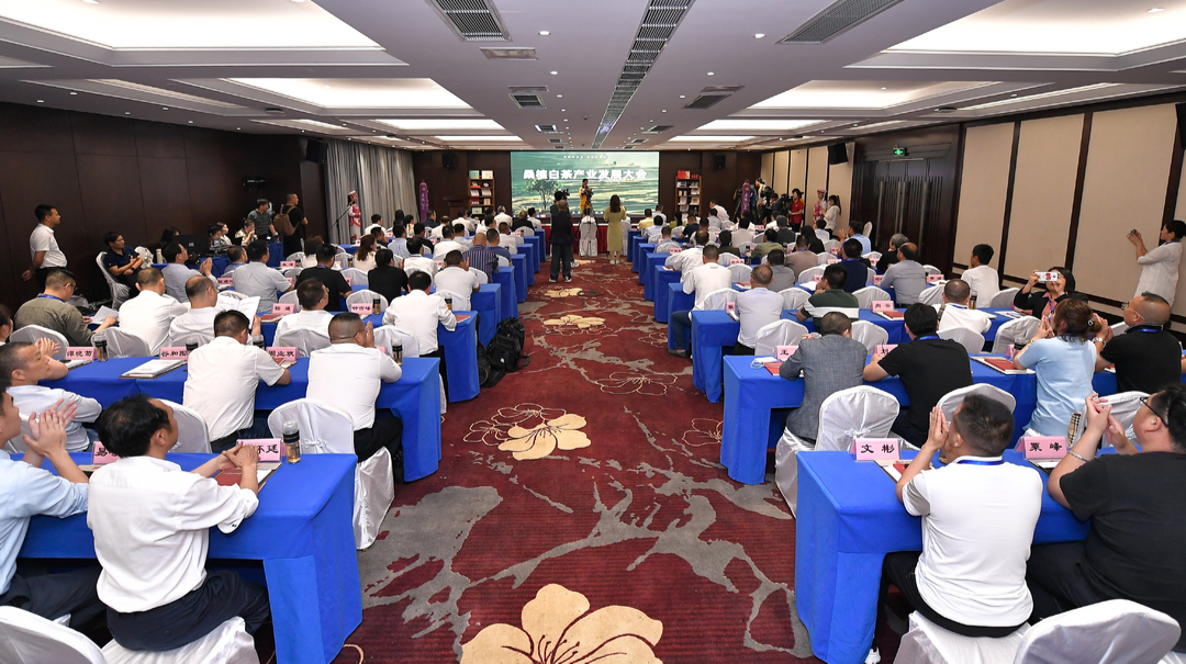 桑植县举行2021首届中国桑植白茶产业发展大会