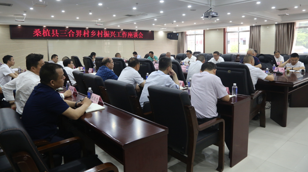 桑植县召开三合街村乡村振兴工作座谈会