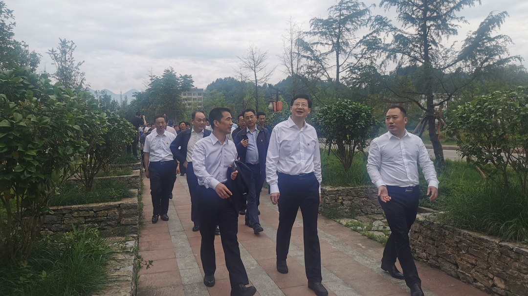 长沙市人大常委会来桑开展党史学习教育