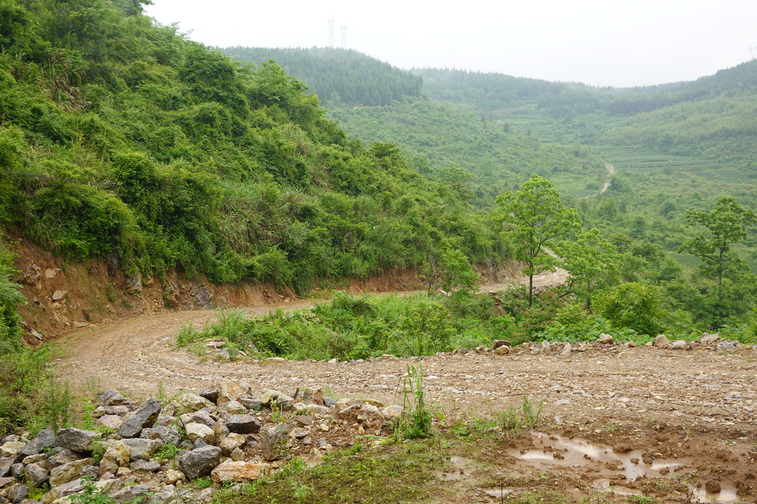 满延才：出资26万元义务修建便民路