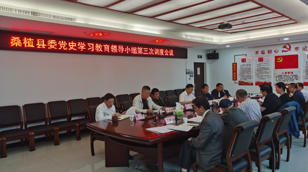 县委党史学习教育领导小组召开第三次调度会议