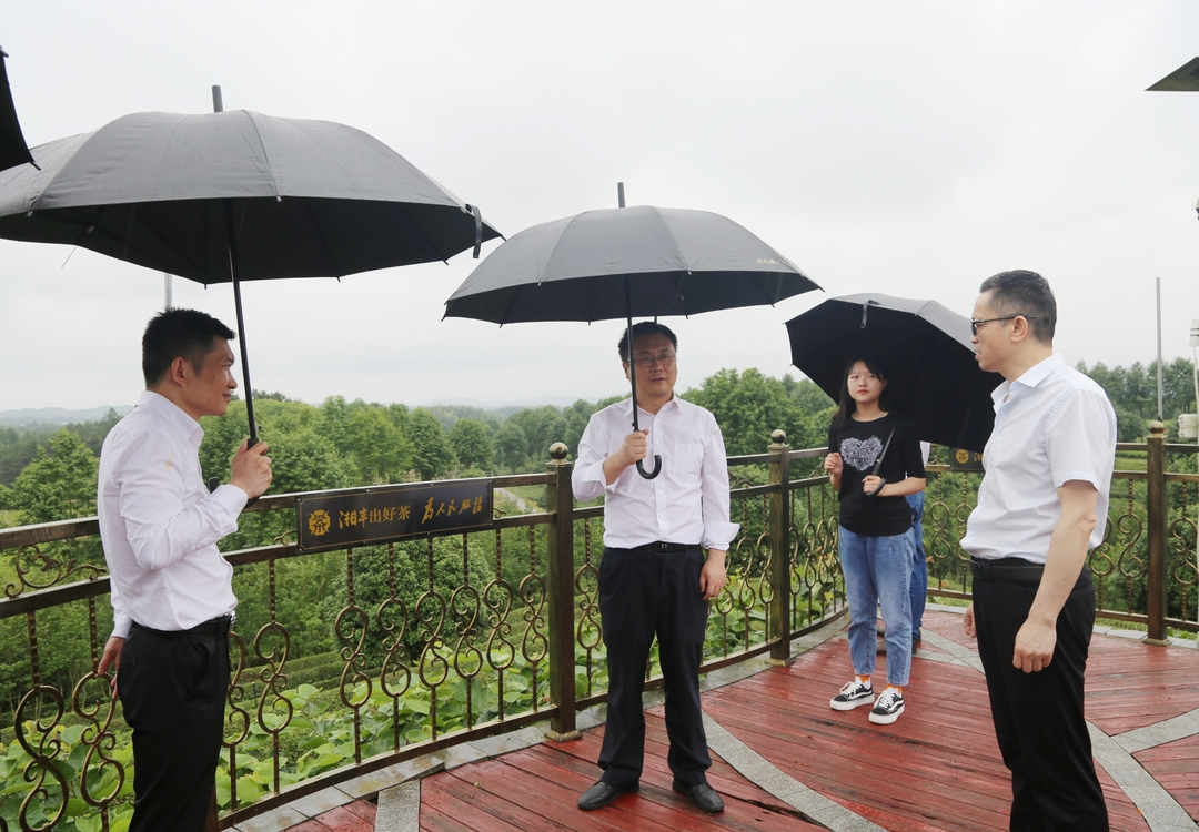 曹飞率队赴湖南湘丰茶业集团有限公司调研