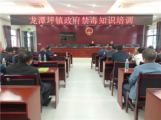 龙潭坪镇：开展干部禁毒知识培训 营造风清气正环境
