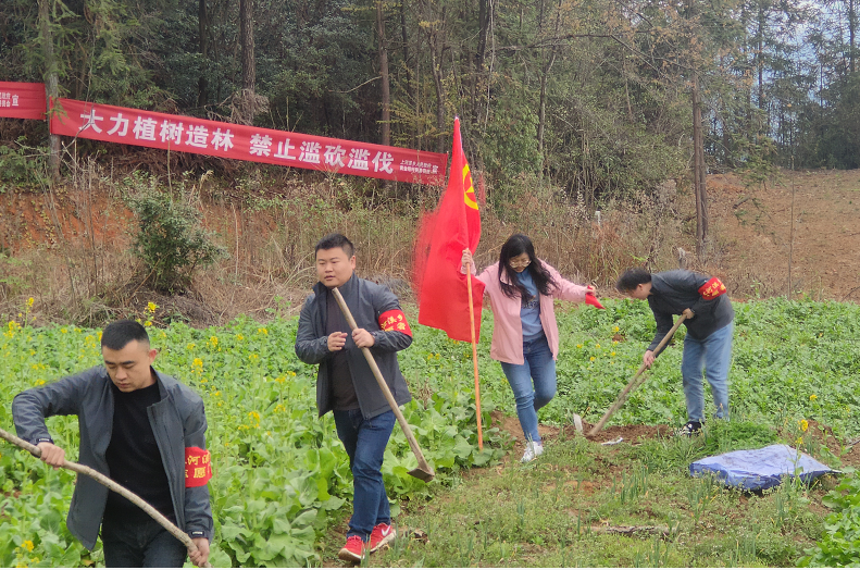 上河溪乡：植树护家园  扮靓云龙山