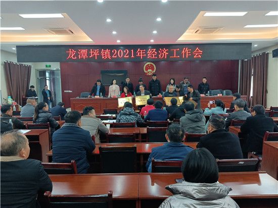 龙潭坪镇：开新局 谋发展 发力乡村振兴