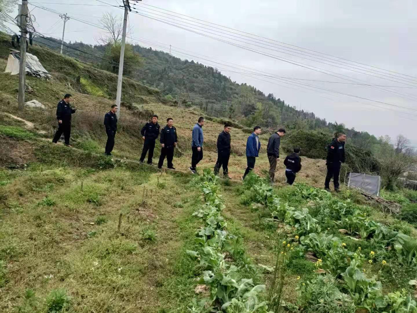 【我为群众办实事】河口乡开展春季禁种铲毒踏查行动