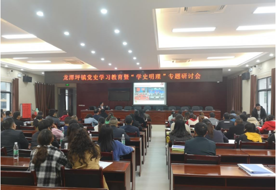 龙潭坪镇开展党史学习教育暨“学史明理”专题研讨会