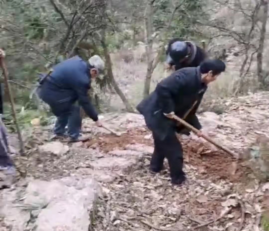 袁家镇：老党员发挥余热 当好“榜样”引领新风