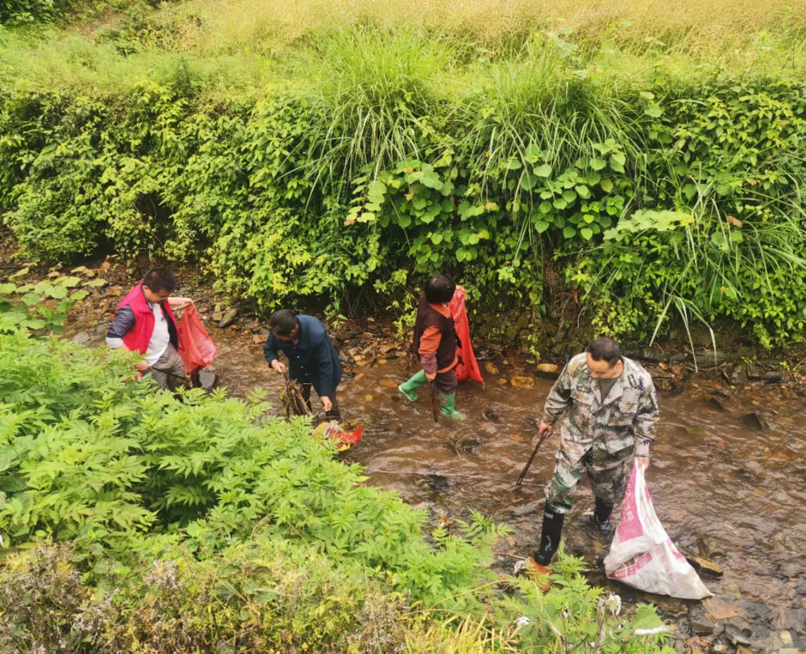 美丽乡村|袁家镇：积极动员党员群众开展农村人居环境整治