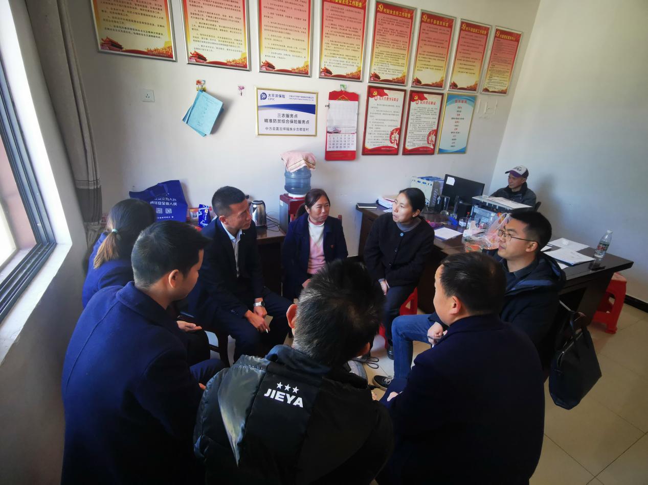 蒿吉坪瑶族乡吉都堂村：引进紫珠产业 助力乡村振兴