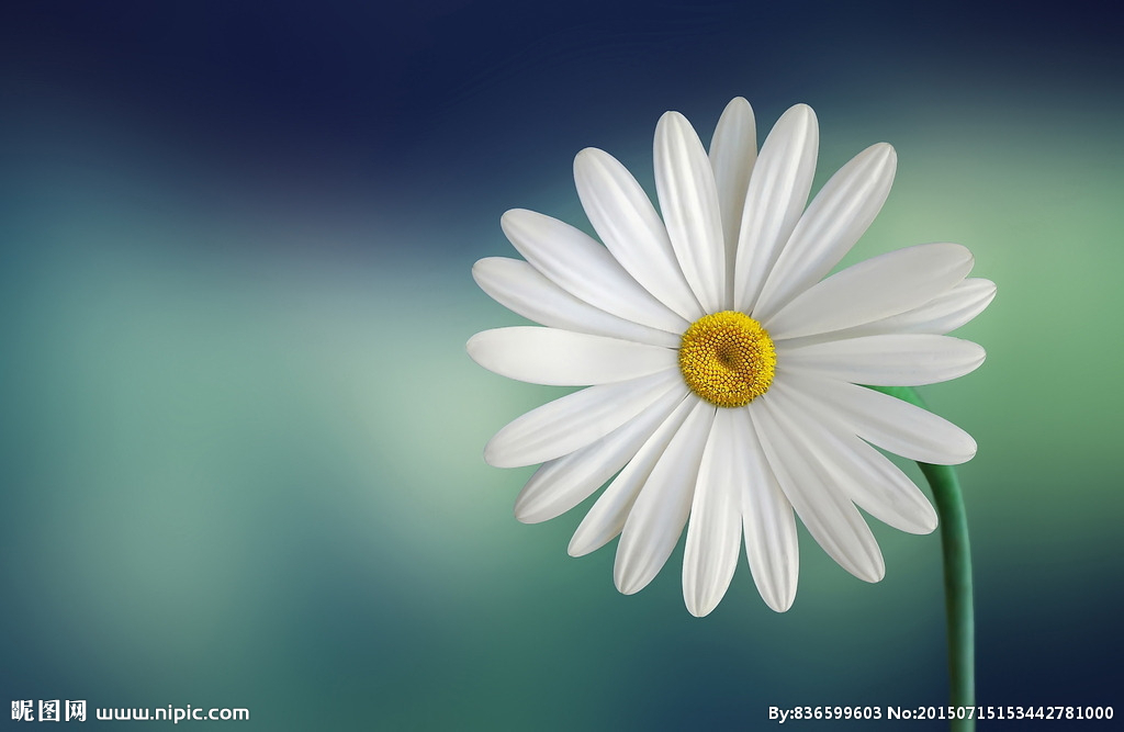 通讯员投稿系统