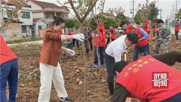 农村人居环境整治进行时•芙蓉街道：“党建引领+居民自治” 共建幸福家园