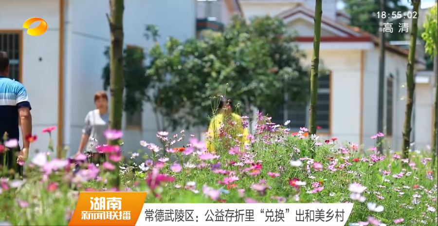 常德武陵区：公益存折里“兑换”出和美乡村