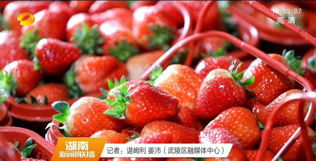 常德武陵区：草莓熟了 多渠道直销解难题