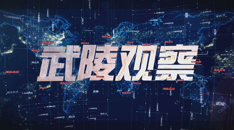 2017年至今《武陵观察》合集