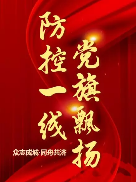 武陵区：战“役”一线党旗红