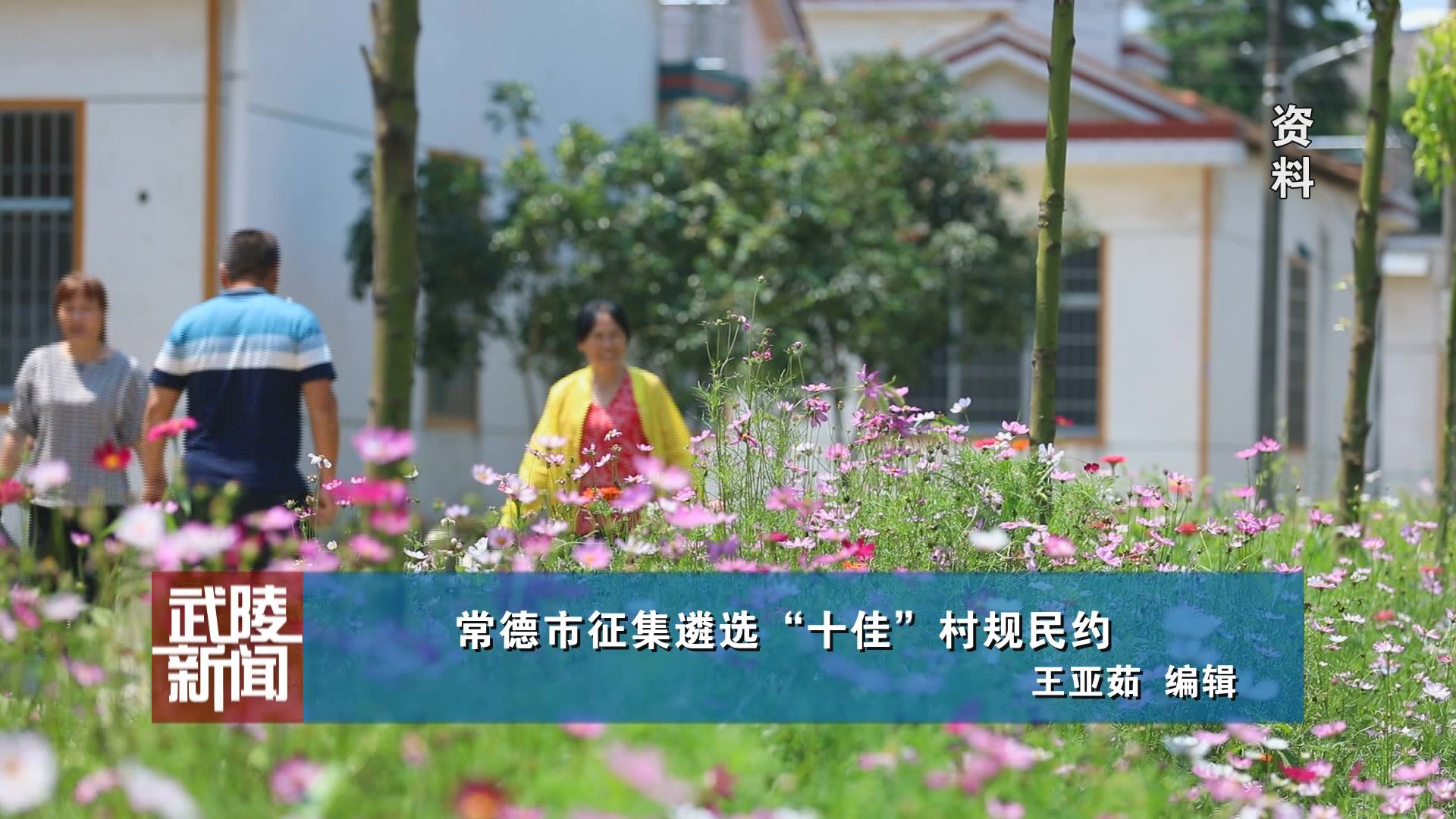 武陵快讯
