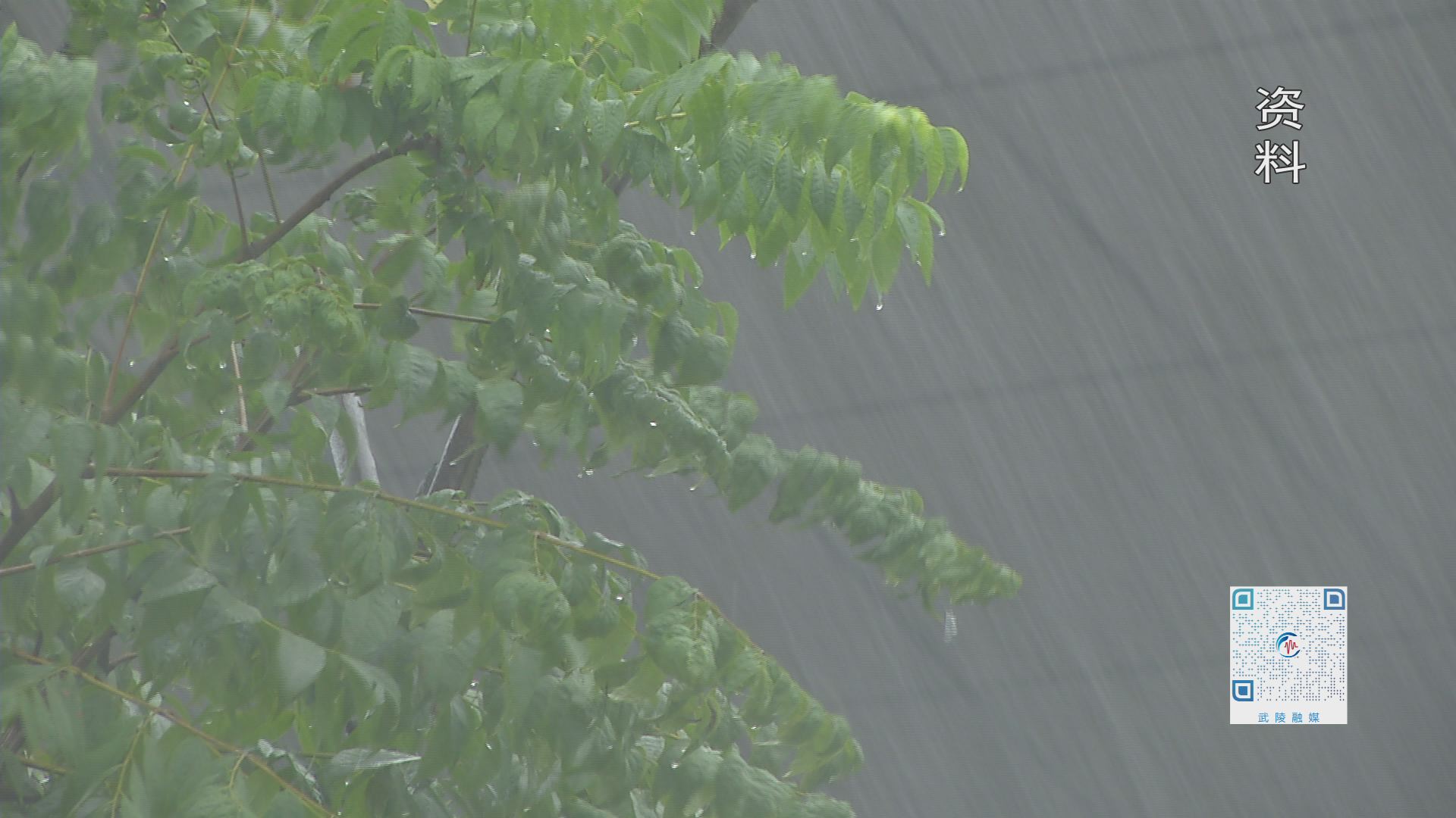冷空气来袭  做好冬季流行性疾病预防