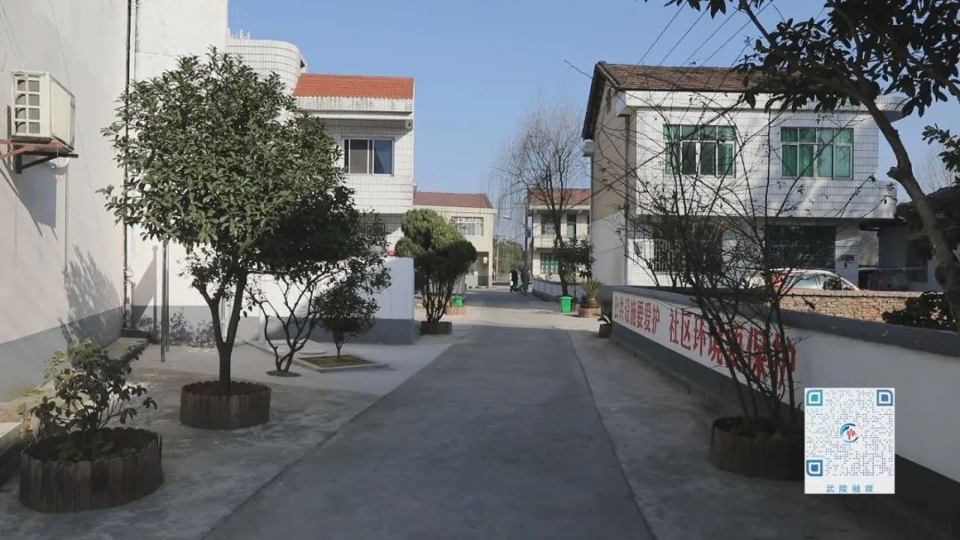 武陵区“三格式”化粪池普及率达93%