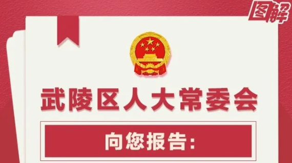武陵区人大常委会：一图读懂我们这一年！
