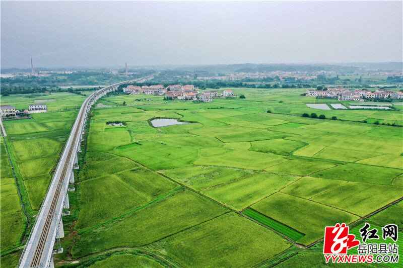 观潮快评丨舞起来，在通往“十四五”和“2035”的新征程上