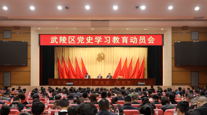 3月16日，武陵区召开党史学习教育动员会