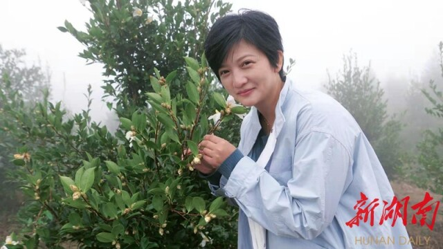 女承父业告乃翁——记全国脱贫攻坚先进个人、王新法女儿王婷