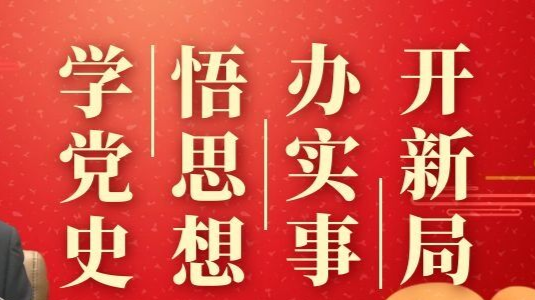 武陵区用“三个最高” 确保党史学习教育高质量推进