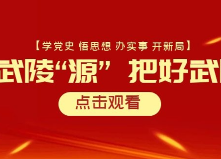 区委书记莫汉桃就开展党史学习教育发表署名文章