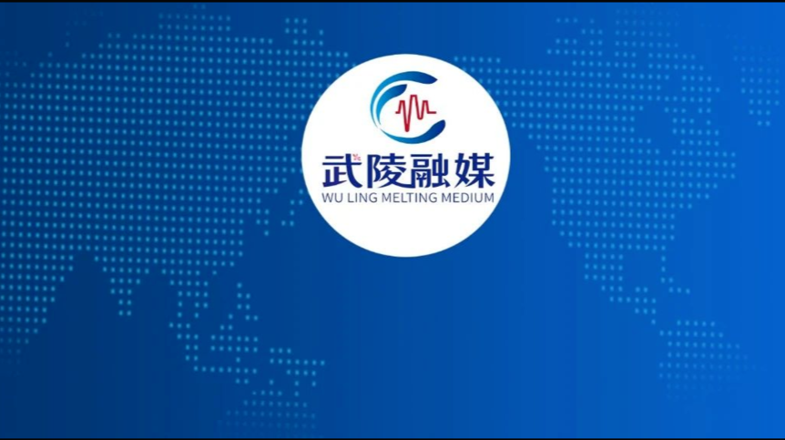 向形式主义、官僚主义亮剑！武陵区公布抓落实促发展“五严禁”