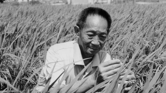 袁隆平同志网络吊唁厅