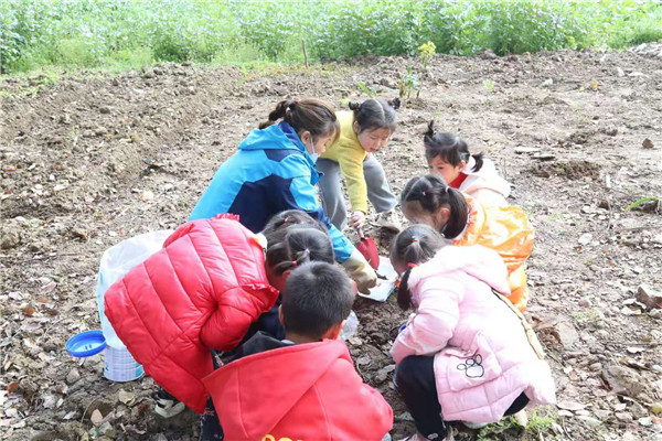 新兴幼儿园：撒播新绿 溢满春天