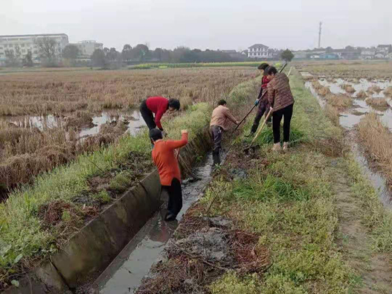 武陵区长庚街道：“河道沟渠”清如许  为有源头活水来