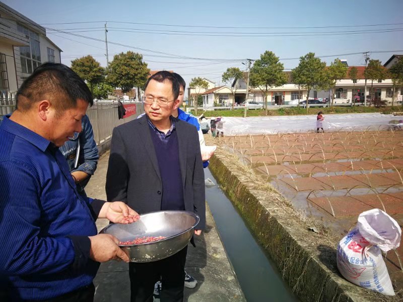 省粮食生产指导组来武陵区督导粮食生产工作