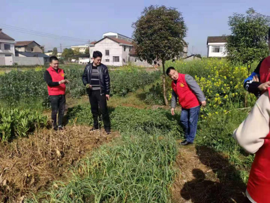 武陵区长庚街道：“禁种铲毒”从杜绝源头抓起
