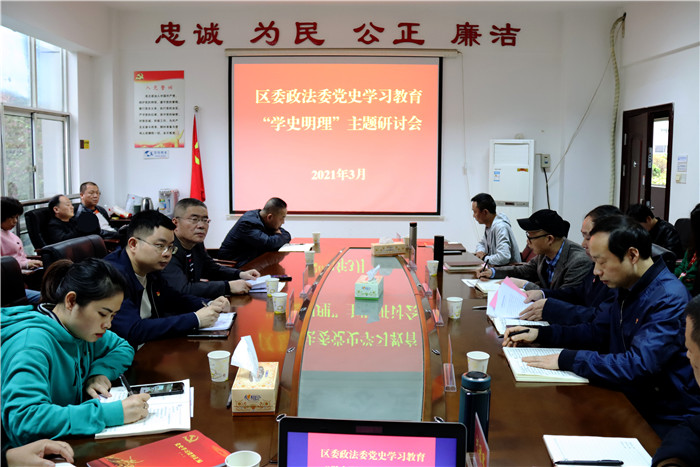 区委政法委开展党史学习教育第一次专题学习暨“学史明理”主题研讨会