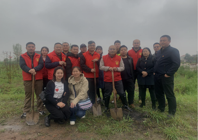 武陵区卫计执法局开展义务植树志愿服务活动