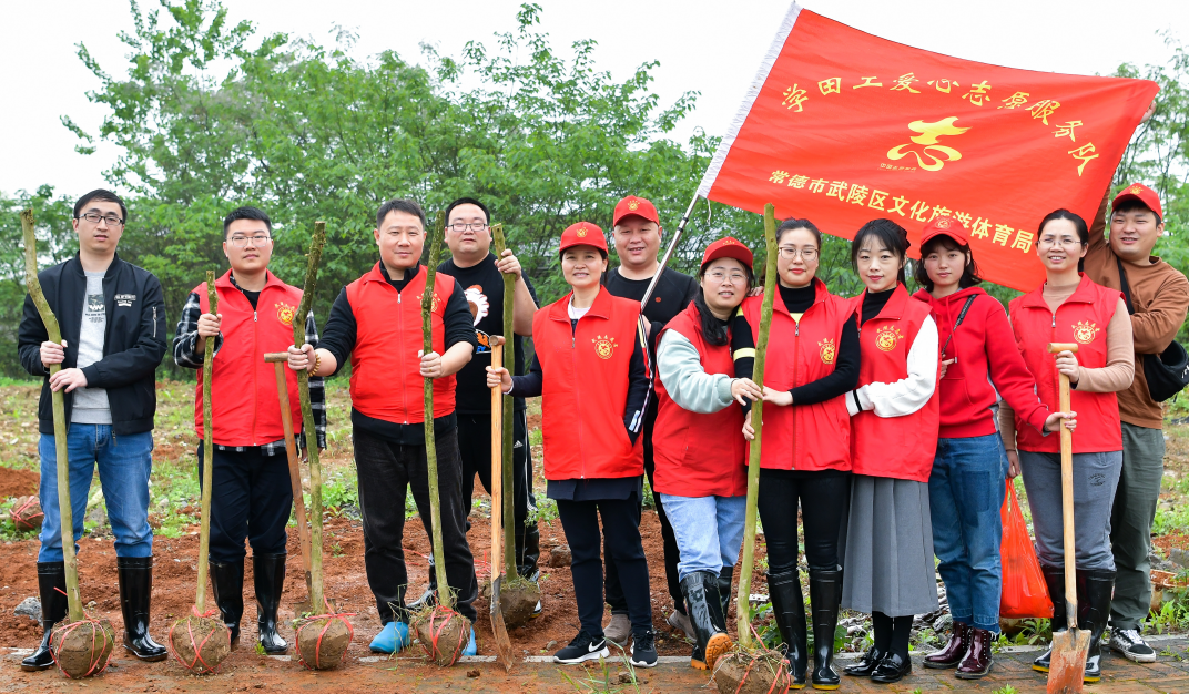武陵区文体局组织开展义务植树活动