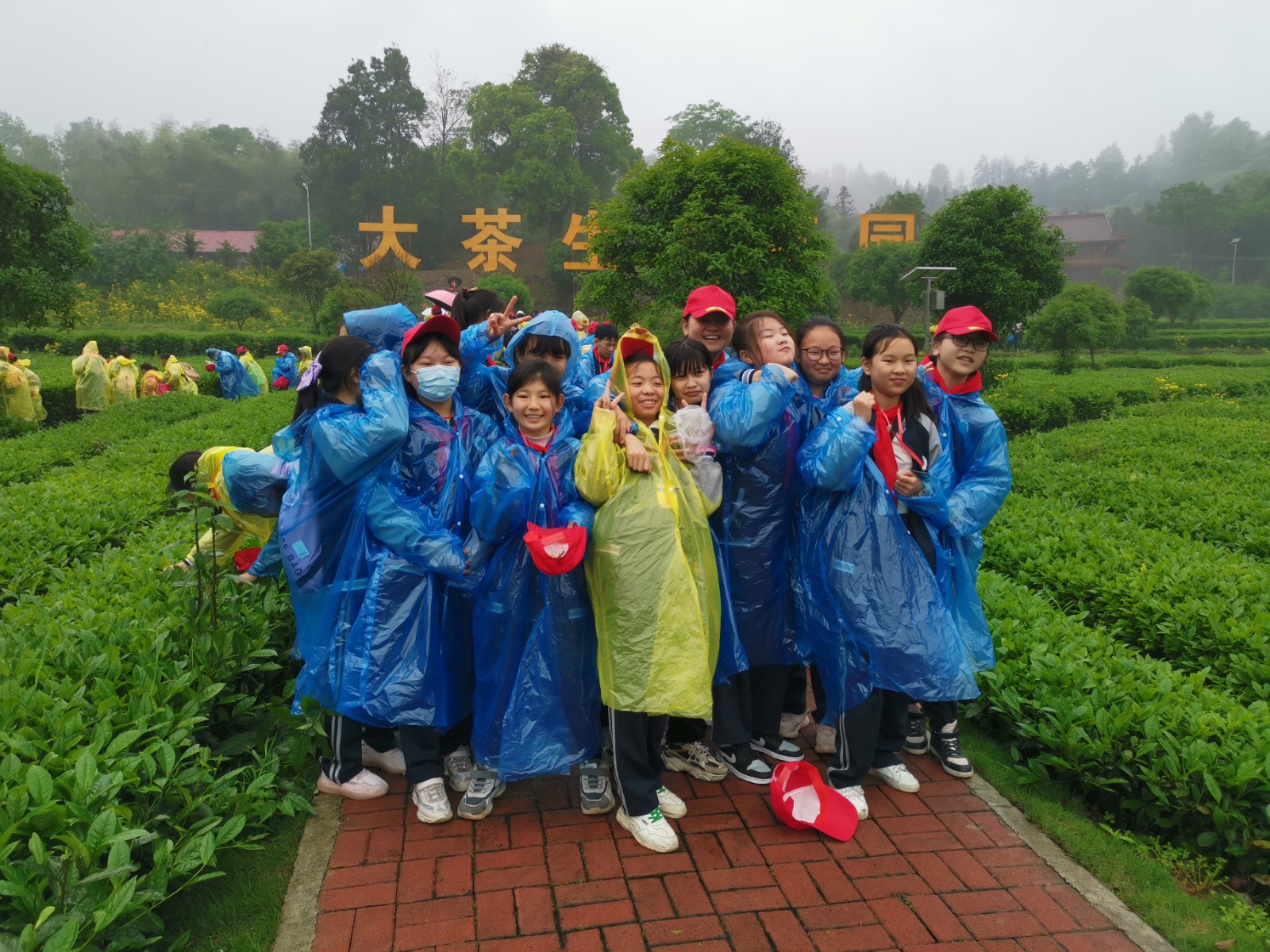 实践体验 快乐成长