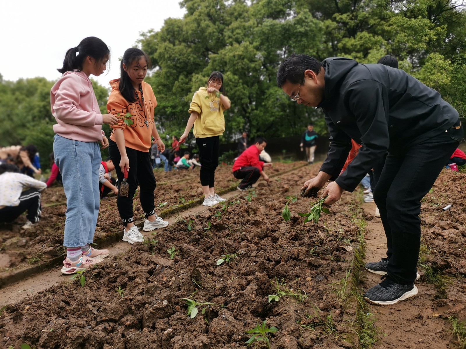 河洑镇汇华聚宝小学：两校合作，共建劳动教育实践基地