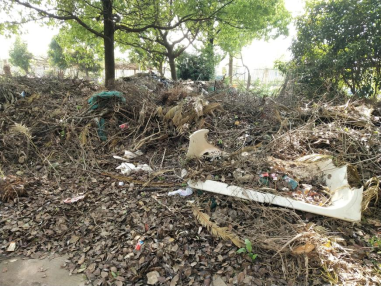 街道社区企业齐发力 小区菜地旧貌换新颜